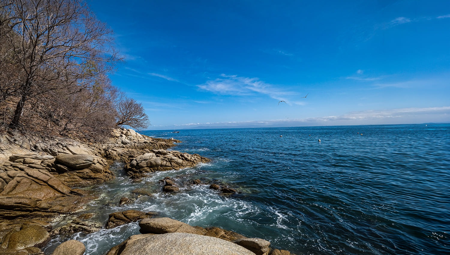 El Litoral de Vallarta · Nayarit: Un Paisaje de Relieves, Texturas y Matices