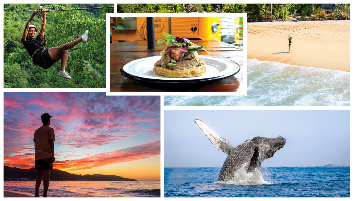 Vallarta · Nayarit: 5 Aventuras para Disfrutar en el Paraíso