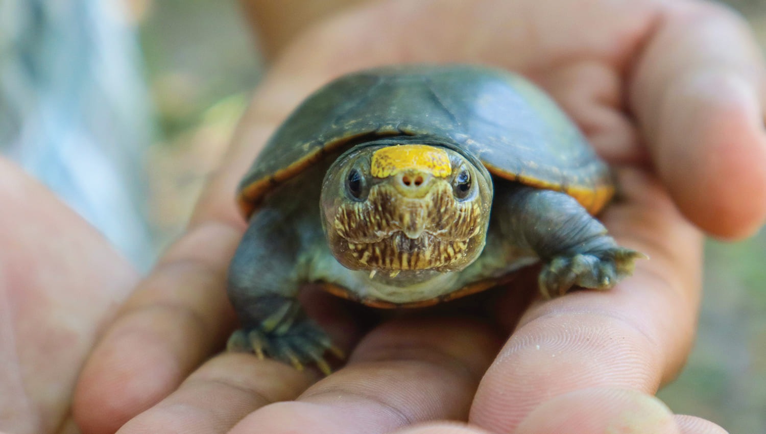 Estudiantes Conservando la Naturaleza: Proteger Hoy para Heredar un Futuro Mejor