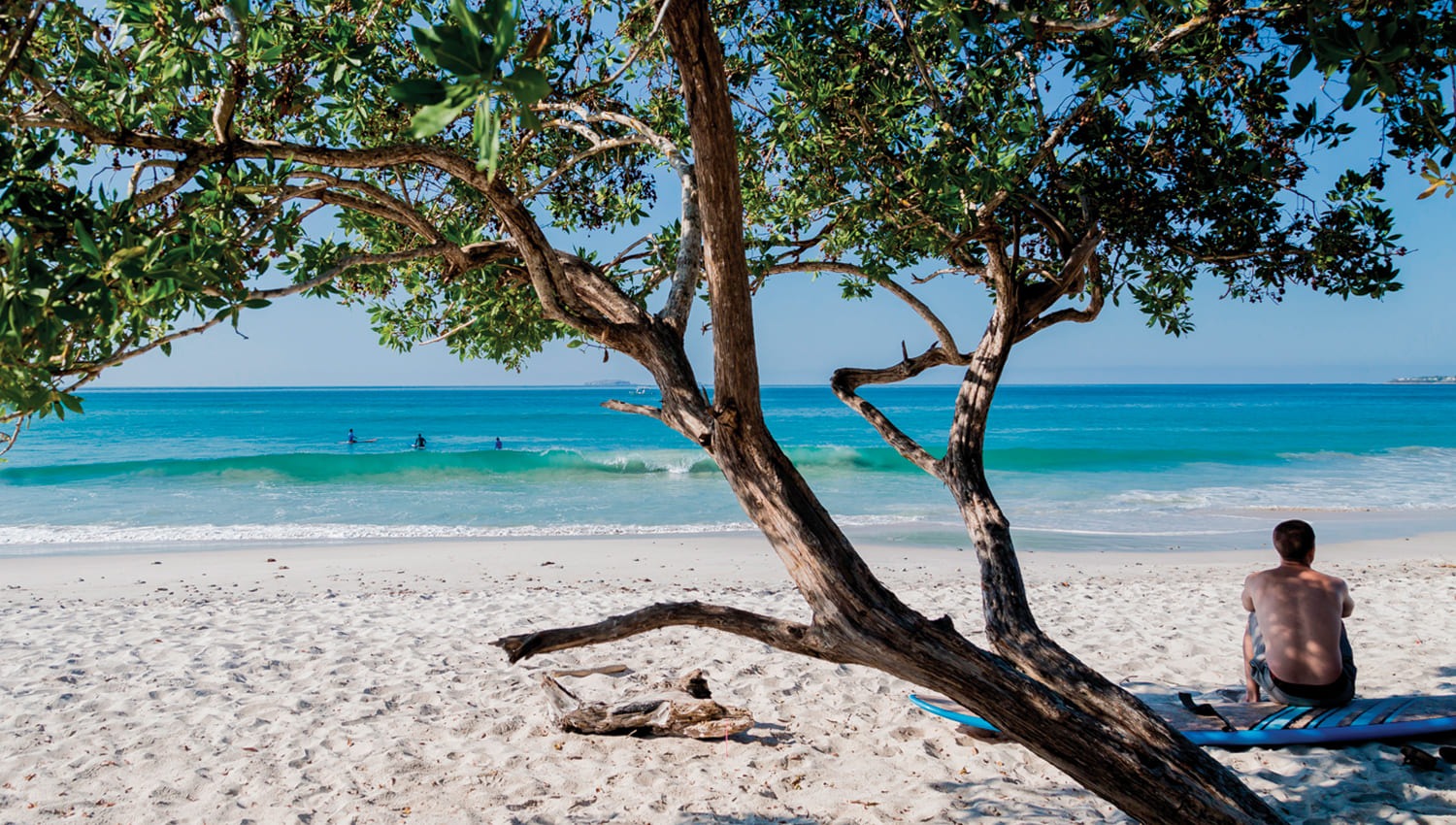 La Lancha: Postcards from a Beach Connected with the Essence of Riviera Nayarit