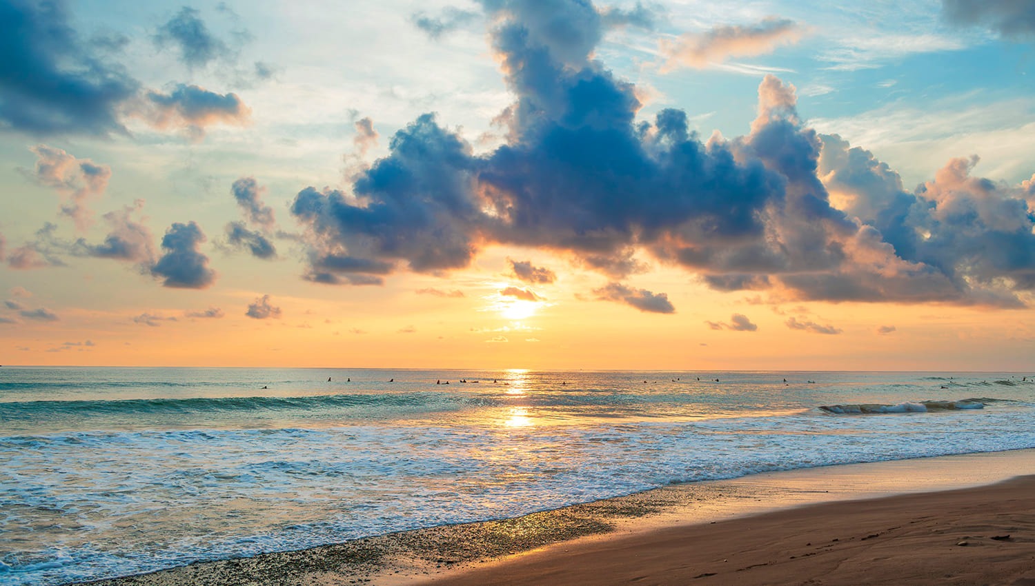 From the Mountain to the Sea: A Journey Through Puerto Vallarta’s Nature