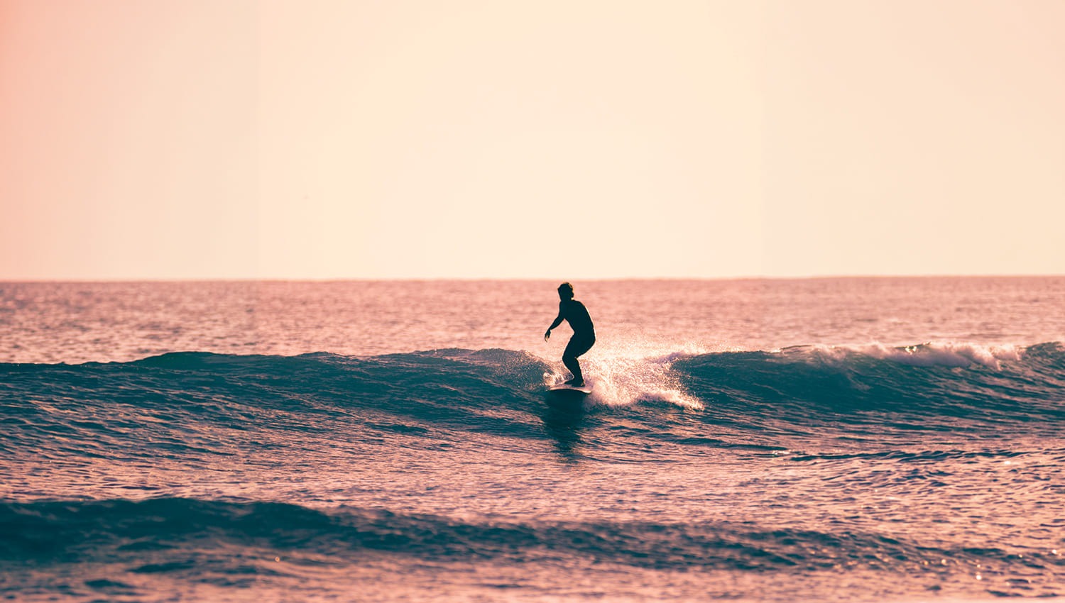 Sayulita Longboard Contest 2026: Tres Días de Surf, Música y Emoción